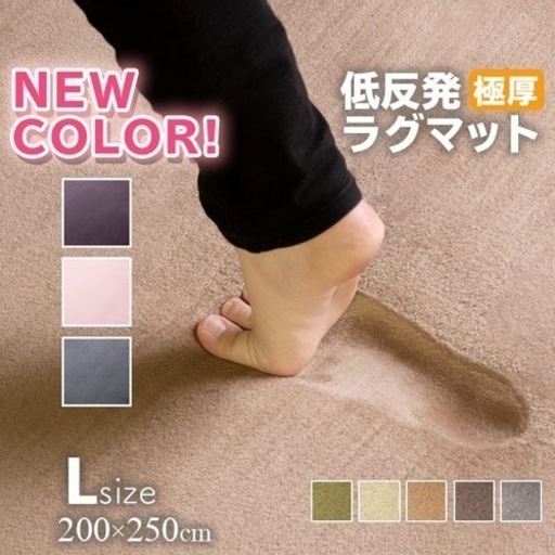 未購入者決定　使用　【109】ラグ カーペット 厚手 低反発ラグ  200×250 ラグマット オールシーズン 春 夏 防音 絨毯 おしゃれ