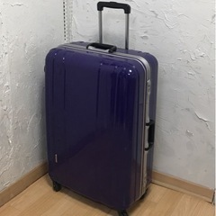 97Lキャリーバッグ　パープル