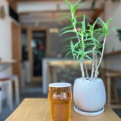 クラフトビール ブリュワリー　タップバーカウンター担当の画像
