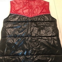 ★5000円から値下げ★　【美品】WAREHOUSE ウエアハウス　ダウンベストの画像