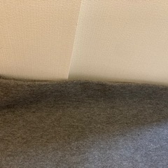 ホットカーペット(3000円)