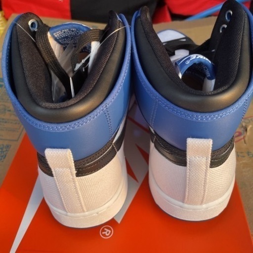 NIKE AIR JORDAN 1 エアジョーダン1 新品 (マヒマヒ) 光の森の靴
