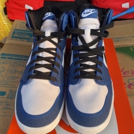 NIKE AIR JORDAN 1 エアジョーダン1 新品 (マヒマヒ) 光の森の靴