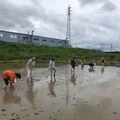 送迎運転手の画像