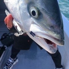  T-Yellow tail 鰤狩族メンバー募集！ - 友達