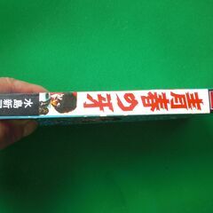 【レア品】青春の牙　初版本の画像