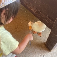 発達の遅れがあるお子さんのいるママ