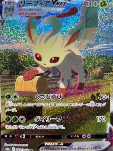 リーフィアV MAX SA