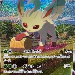 リーフィアV MAX SA