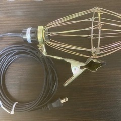 電球①(2022)の画像