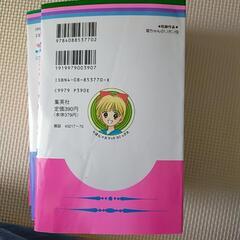 姫ちゃんのリボンまとめ売りの画像