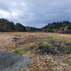 150坪の土地で畑やお米作り🌸🌾地目変更で住宅用?