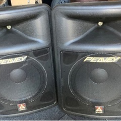 スピーカーペア　BWX PEAVEY INPULSE 1015