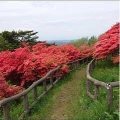 登山仲間募集 − 宮城県
