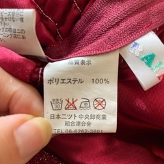 ラメ入　ドレスの画像