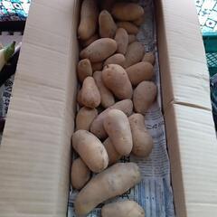 メークイン3kg ④