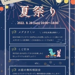 夏祭り / メダカすくい