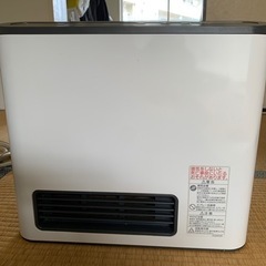 今年の冬に
