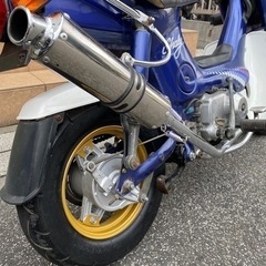 4mini  ホンダ シャリィ 12v 角シャリー 50cc の画像