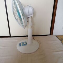 リビング扇風機 30㎝5枚羽根 風量3段階 首振りの画像