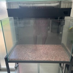 【あんしん決済】GEX 60cm水槽セット　滋賀県　水槽台+入手...