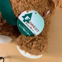 FOREST テディベア　ペアセットの画像