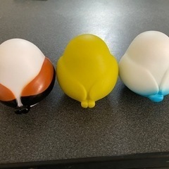 3匹セットの画像