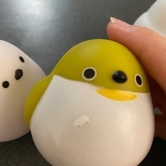 3匹セットの画像
