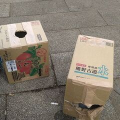 東京理科実験クラブ　〜大人だって実験したい〜 − 東京都