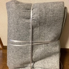 サンヨー　ホットカーペットの画像