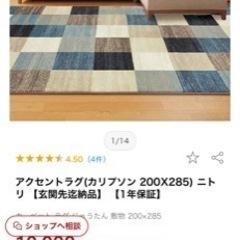 ニトリ　アクセントラグマット(カリプソン)