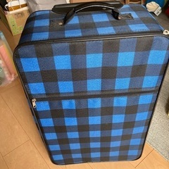 キャリーバック