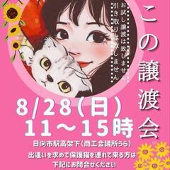 ねこの譲渡会 －日向－