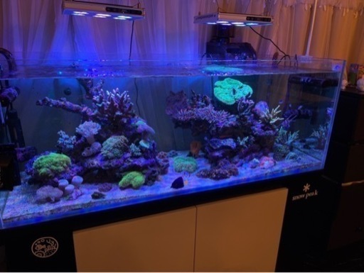 [夏休み限定お値下げ！！] 海水 120水槽フルセット