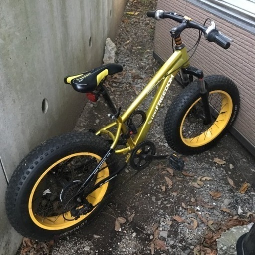 ファットバイク