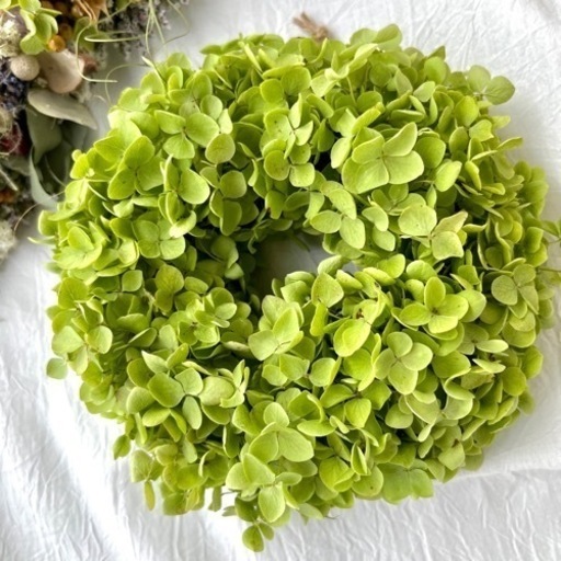 アナベル紫陽花　ナチュラルリース