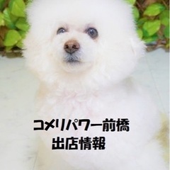 ただいま！コメリ！28日から復活！※雨天中止