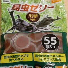 昆虫ゼリー（23個）