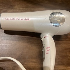 ever mate Pro ion 1200 エバーメイトサロン業務用ドライヤーの画像