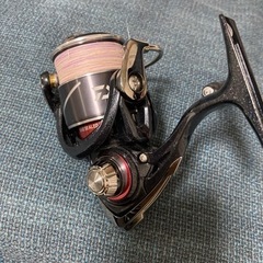 DAIWA 月下美人　リール　LT2000s アジング、メバリング