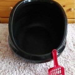猫トイレ❇美品❇大っきめ～                   猫砂付き！   の画像