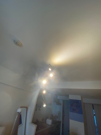 BAROMETER バロメーテル シーリングライト ゴールド色