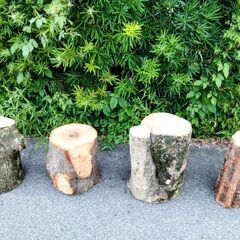 薪ストーブ・焚火の薪割り薪材作りの丸太やキャンプ・ガーデニングの...