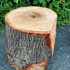 薪ストーブ・焚火の薪割り薪材作りの丸太やキャンプ・ガーデニングのテーブルやイス等使い方は自由自在♪の画像