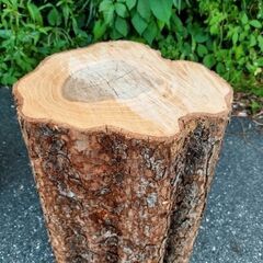 薪ストーブ・焚火の薪割り薪材作りの丸太やキャンプ・ガーデニングのテーブルやイス等使い方は自由自在♪の画像