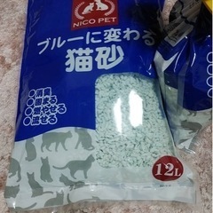 猫トイレ❇美品❇大っきめ～                   猫砂付き！   の画像