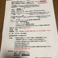 プルベリーの収穫体験、即売会の画像