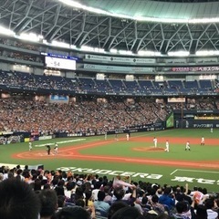⭐️野球観戦友達募集⭐️