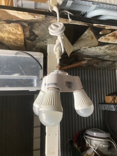 電気ランプバルブ