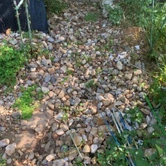 畑から出てきた石　小　中サイズ
